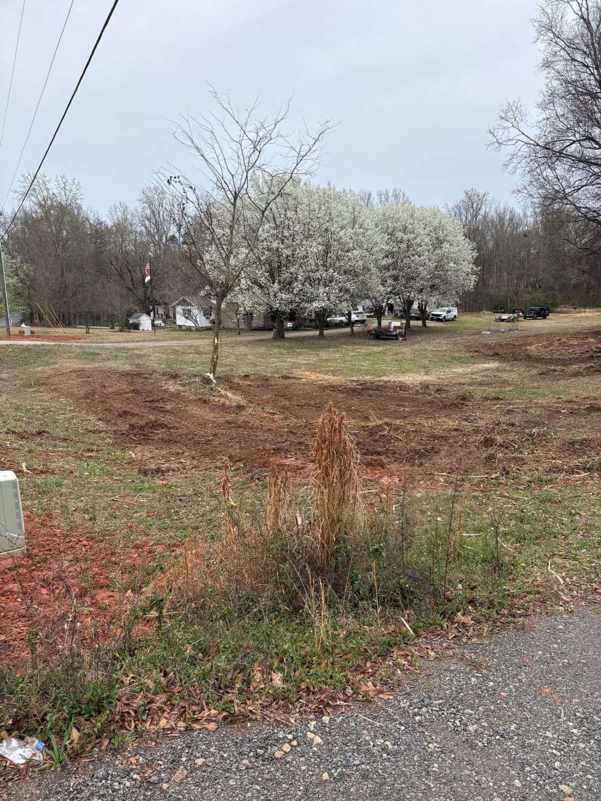 After: Overgrown Lot Clearing — Rock Hill, SC