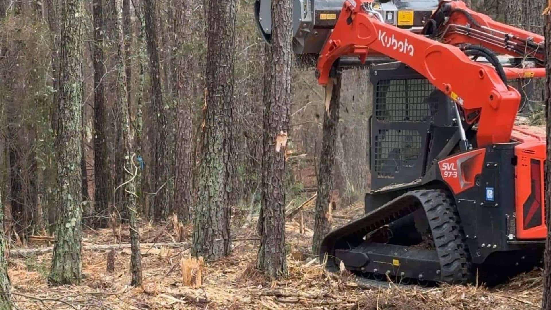 Forestry mulching equipment clearing overgrown land in Rock Hill, SC
