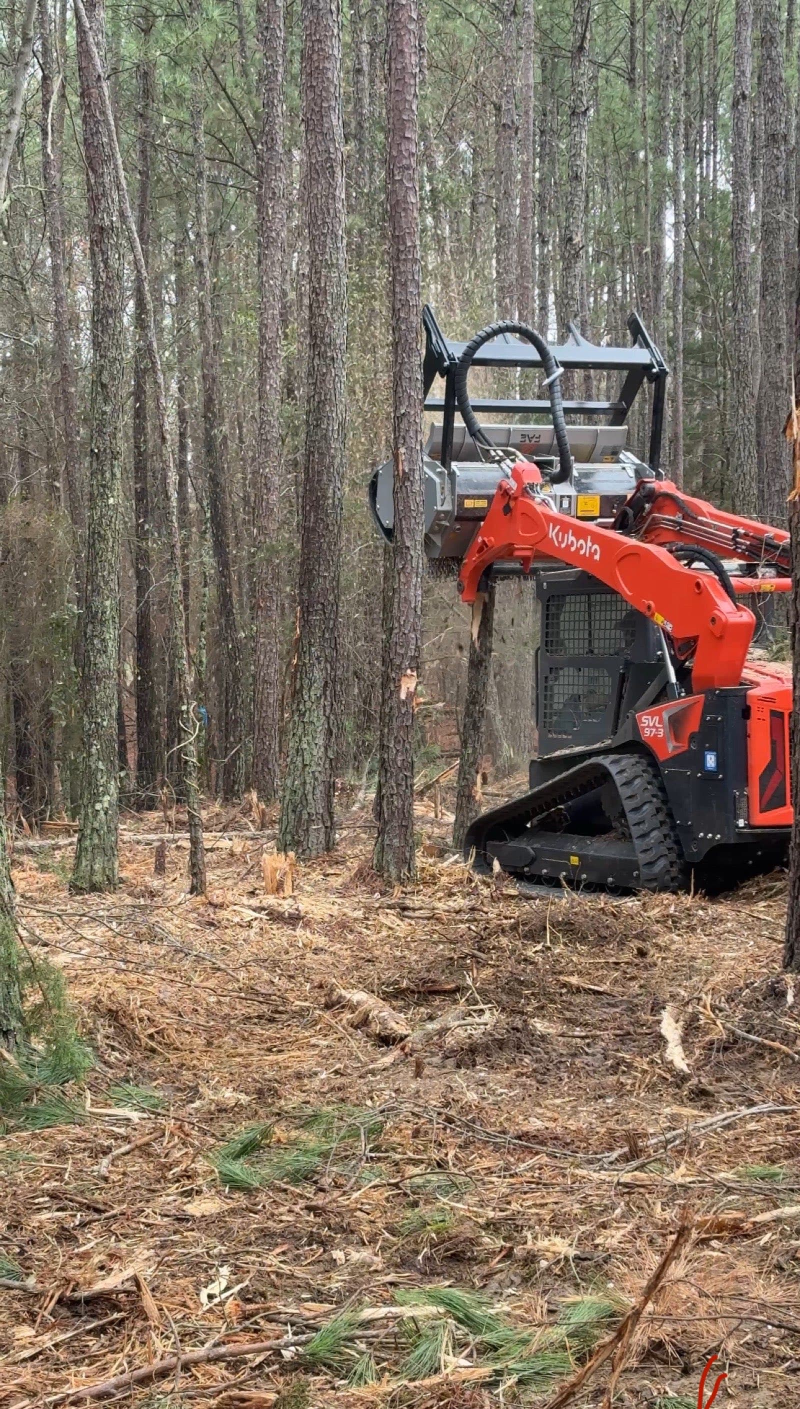 Kubota SVL 97-3 with FAE mulcher head clearing trees in Rock Hill, SC