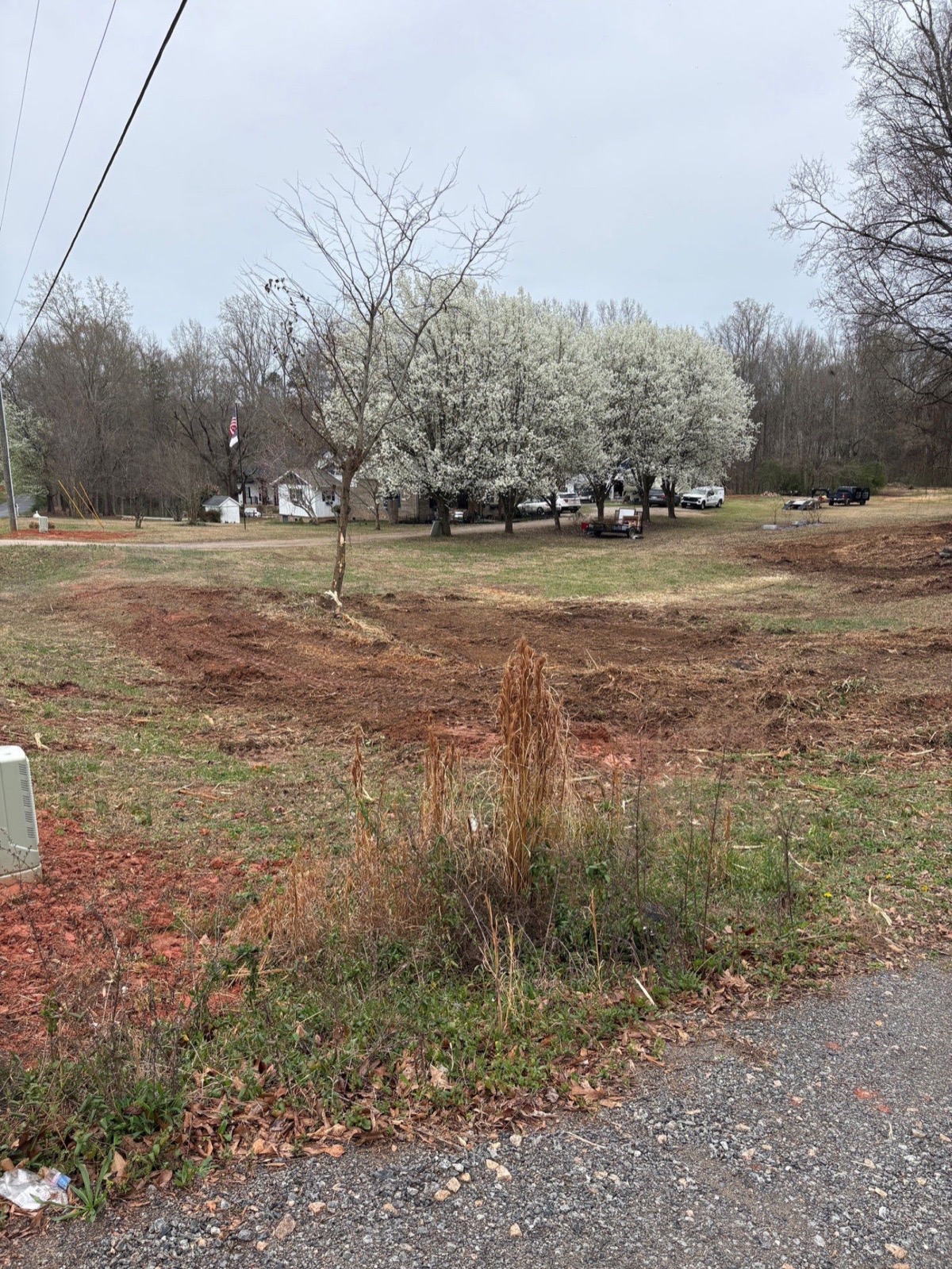After: Overgrown Lot Clearing — Rock Hill, SC