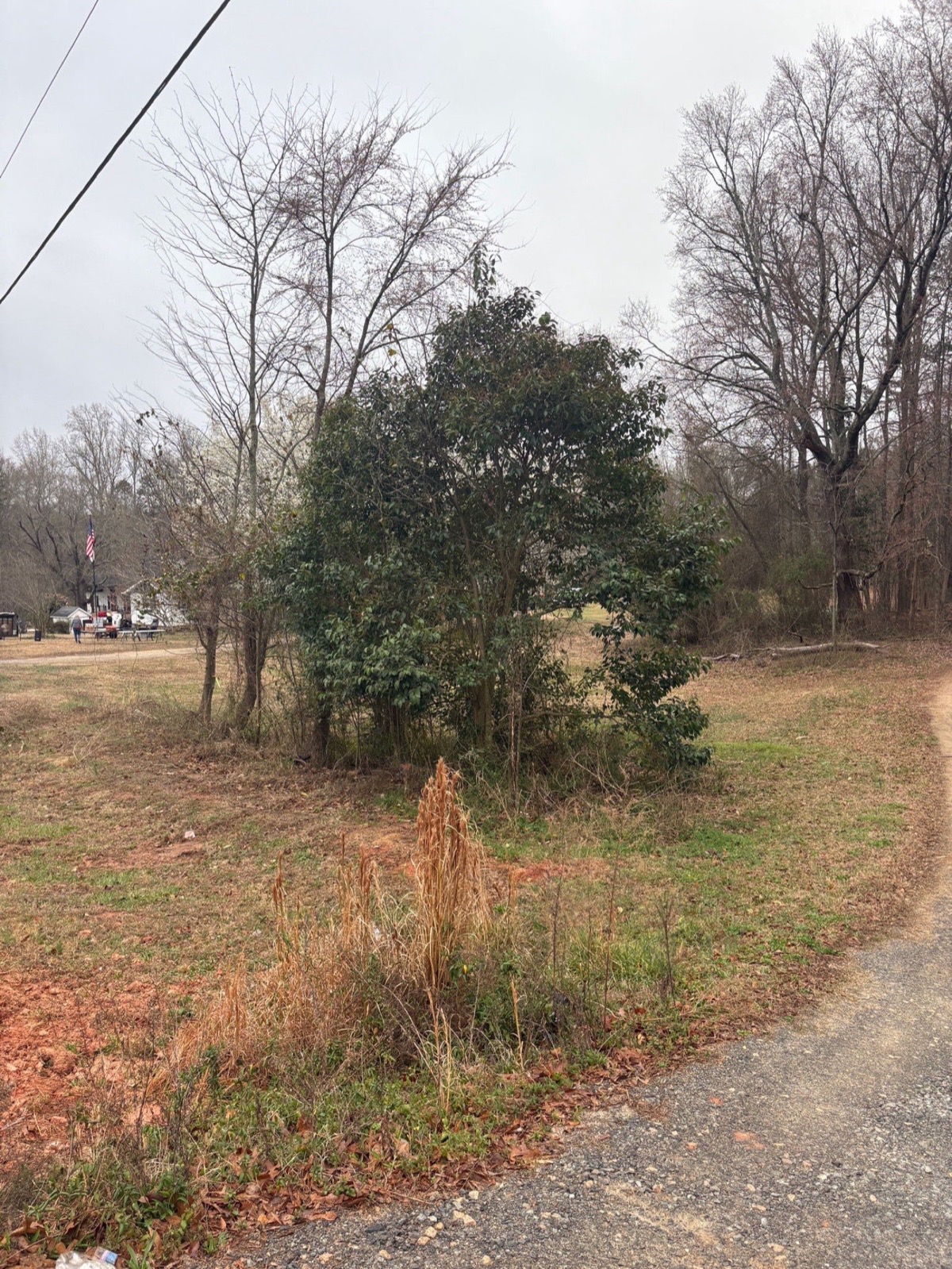Before: Overgrown Lot Clearing — Rock Hill, SC
